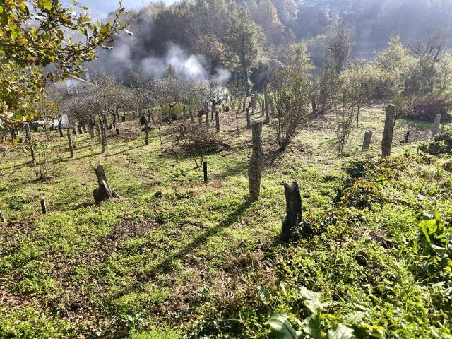 Terreno en venta en O Condado, Galicia