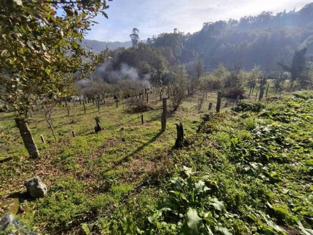 Terreno en venta en O Condado, Galicia