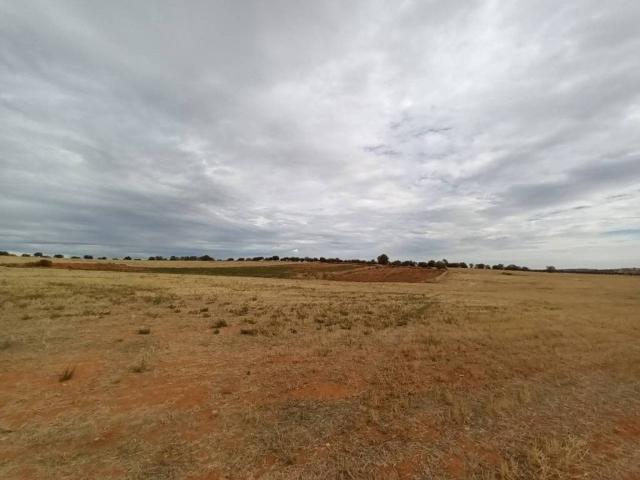 Terreno en venta en Mondéjar, Castilla-La Mancha