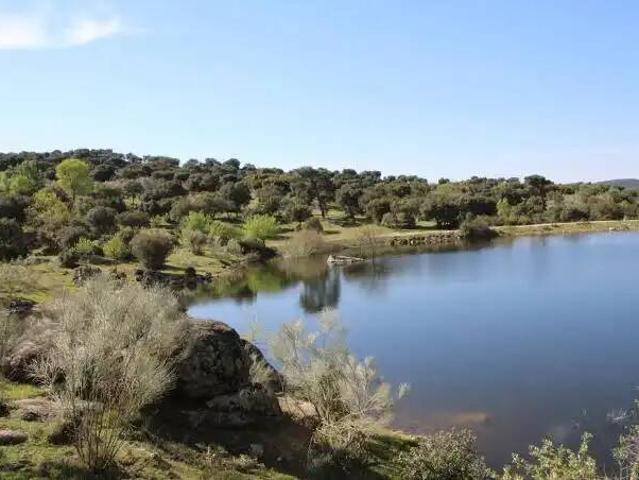 Terreno en venta en Monesterio, Badajoz