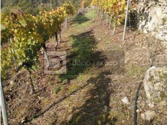 Terreno en venta en Terra de Lemos, Galicia