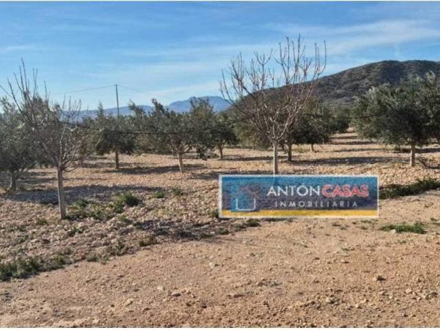 Terreno en venta en el Vinalopó Mitjà / El Vinalopó Medio, Valencia