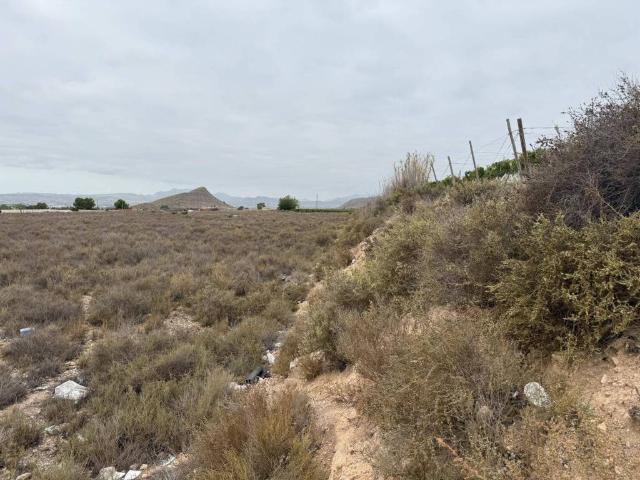 Terreno en venta en el Vinalopó Mitjà / El Vinalopó Medio, Valencia