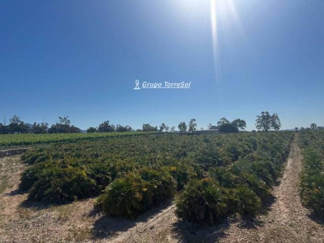 Terreno en venta en el Vinalopó Mitjà / El Vinalopó Medio, Valencia