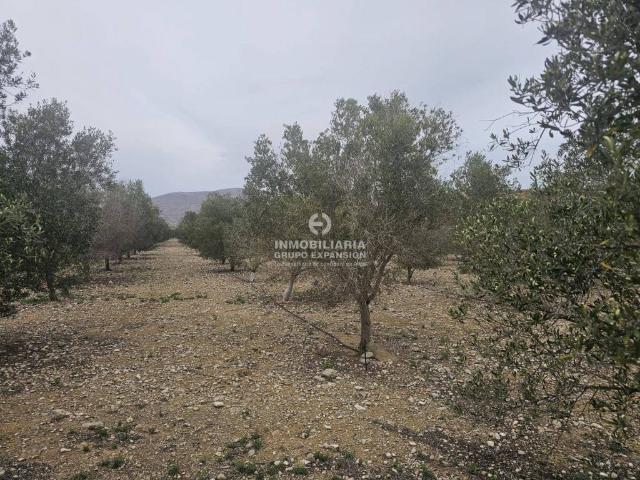 Terreno en venta en el Vinalopó Mitjà / El Vinalopó Medio, Valencia
