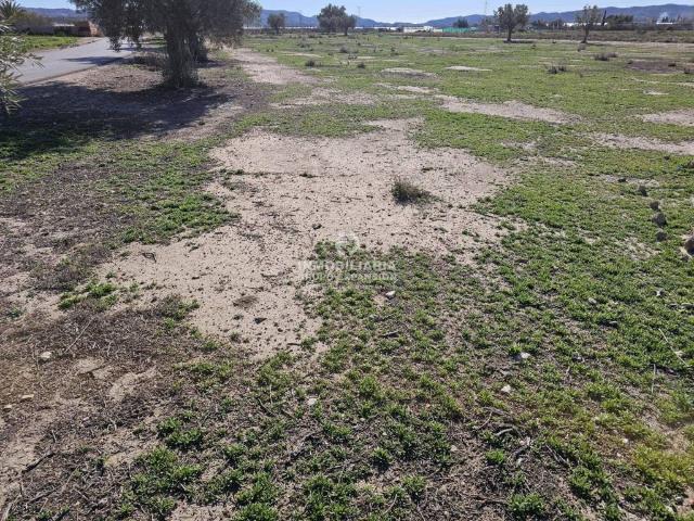 Terreno en venta en el Vinalopó Mitjà / El Vinalopó Medio, Valencia