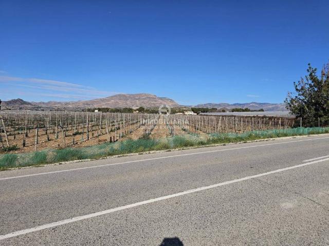 Terreno en venta en el Vinalopó Mitjà / El Vinalopó Medio, Valencia