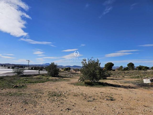 Terreno en venta en el Vinalopó Mitjà / El Vinalopó Medio, Valencia