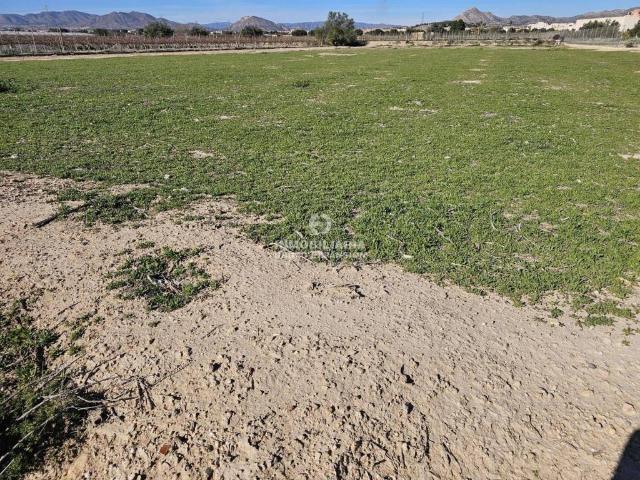 Terreno en venta en el Vinalopó Mitjà / El Vinalopó Medio, Valencia