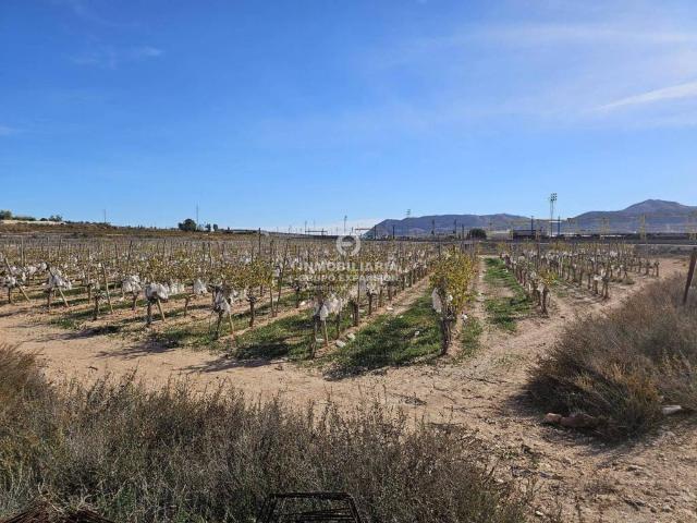 Terreno en venta en el Vinalopó Mitjà / El Vinalopó Medio, Valencia