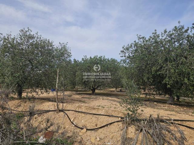 Terreno en venta en el Vinalopó Mitjà / El Vinalopó Medio, Valencia