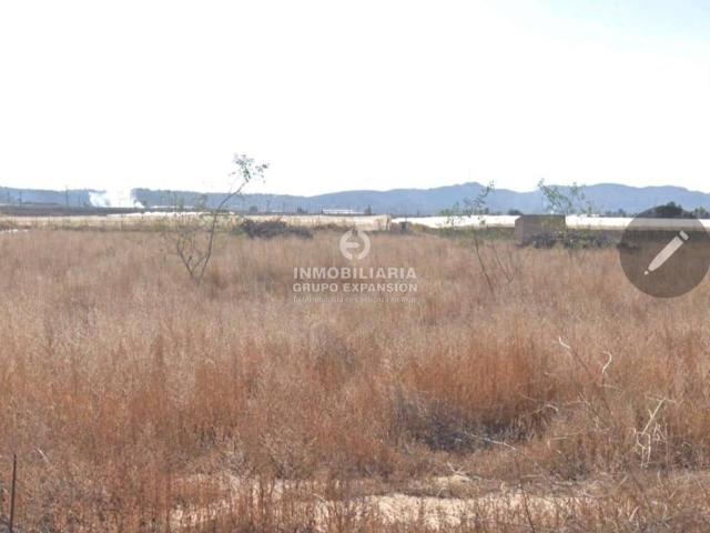 Terreno en venta en el Vinalopó Mitjà / El Vinalopó Medio, Valencia