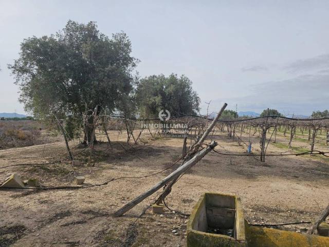 Terreno en venta en el Vinalopó Mitjà / El Vinalopó Medio, Valencia