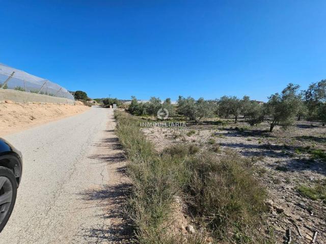 Terreno en venta en el Vinalopó Mitjà / El Vinalopó Medio, Valencia