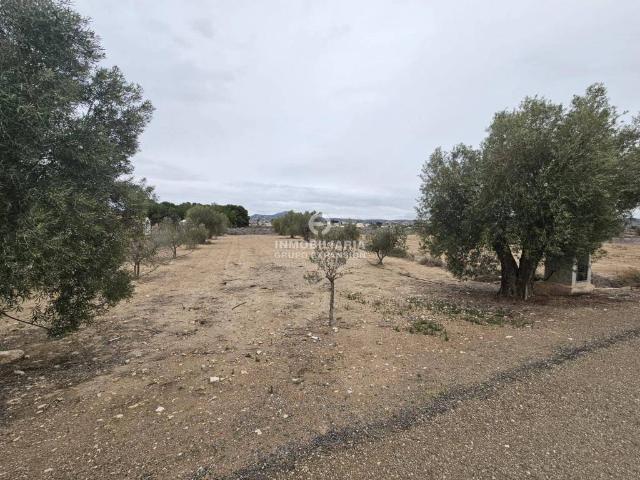Terreno en venta en el Vinalopó Mitjà / El Vinalopó Medio, Valencia