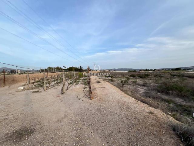 Terreno en venta en el Vinalopó Mitjà / El Vinalopó Medio, Valencia