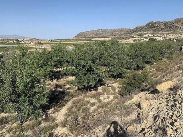 Terreno en venta en el Vinalopó Mitjà / El Vinalopó Medio, Valencia