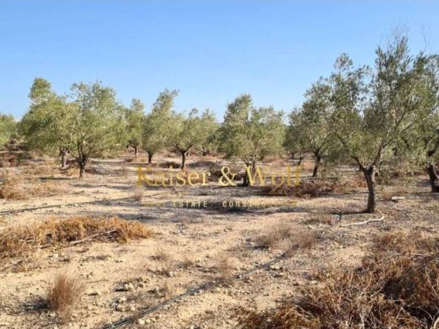 Terreno en venta en el Vinalopó Mitjà / El Vinalopó Medio, Valencia
