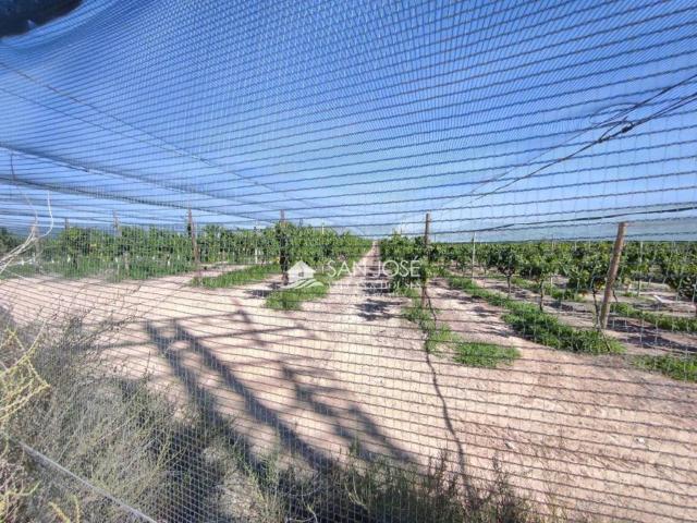 Terreno en venta en el Vinalopó Mitjà / El Vinalopó Medio, Valencia