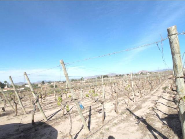 Terreno en venta en el Vinalopó Mitjà / El Vinalopó Medio, Valencia