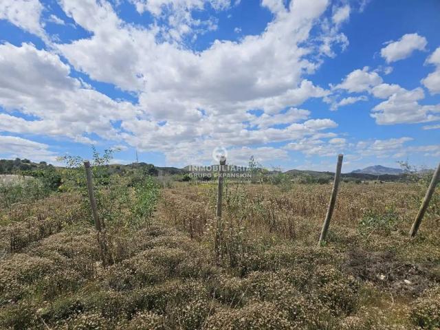 Terreno en venta en el Vinalopó Mitjà / El Vinalopó Medio, Valencia