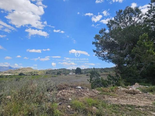 Terreno en venta en el Vinalopó Mitjà / El Vinalopó Medio, Valencia