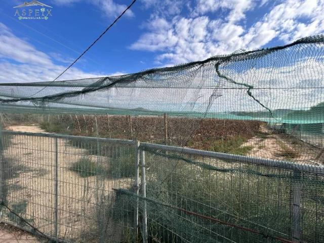 Terreno en venta en el Vinalopó Mitjà / El Vinalopó Medio, Valencia