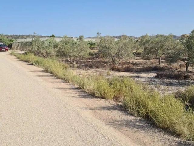 Terreno en venta en el Vinalopó Mitjà / El Vinalopó Medio, Valencia