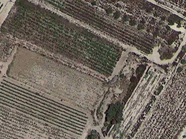 Terreno en venta en el Vinalopó Mitjà / El Vinalopó Medio, Valencia