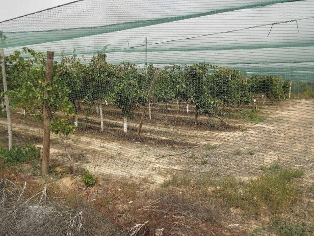 Terreno en venta en el Vinalopó Mitjà / El Vinalopó Medio, Valencia