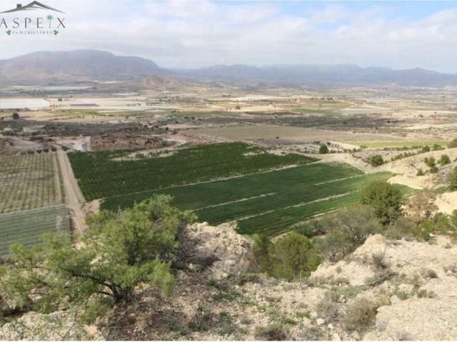 Terreno en venta en el Vinalopó Mitjà / El Vinalopó Medio, Valencia