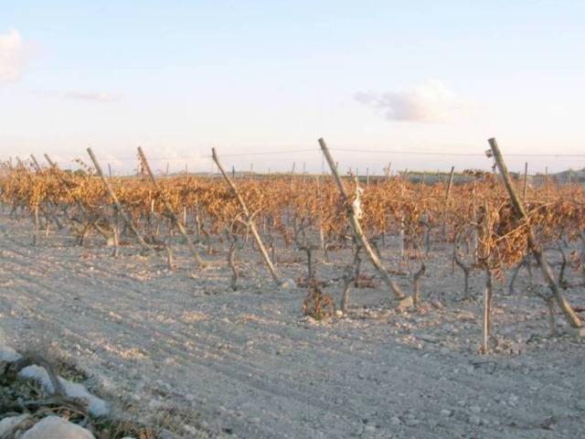 Terreno en venta en el Vinalopó Mitjà / El Vinalopó Medio, Valencia