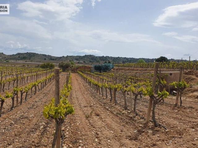 Terreno en venta en el Vinalopó Mitjà / El Vinalopó Medio, Valencia