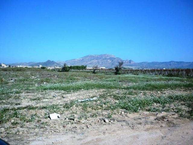 Terreno en venta en el Vinalopó Mitjà / El Vinalopó Medio, Valencia