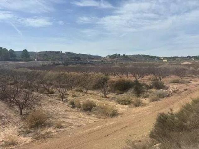 Terreno en venta en el Manyar, el Vinalopó Mitjà / El Vinalopó Medio
