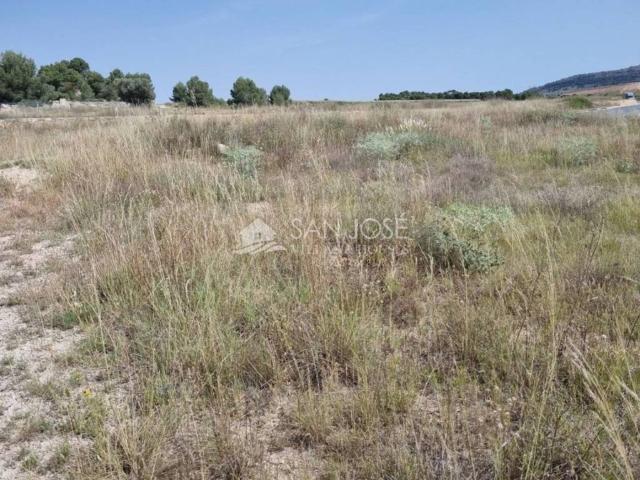 Terreno en venta en Monòver / Monóvar, Alacant / Alicante