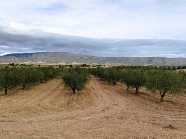 Terreno en venta en el Vinalopó Mitjà / El Vinalopó Medio, Valencia