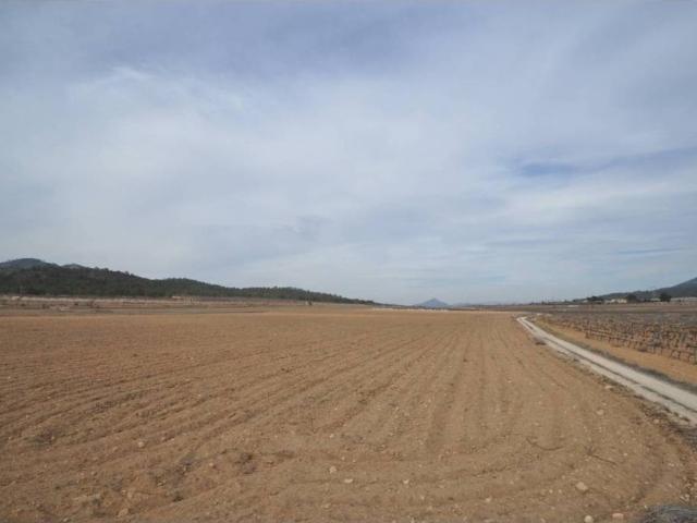 Terreno en venta en el Vinalopó Mitjà / El Vinalopó Medio, Valencia