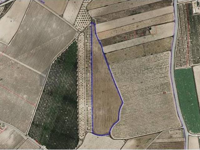 Terreno en venta en Monóvar, Valencia