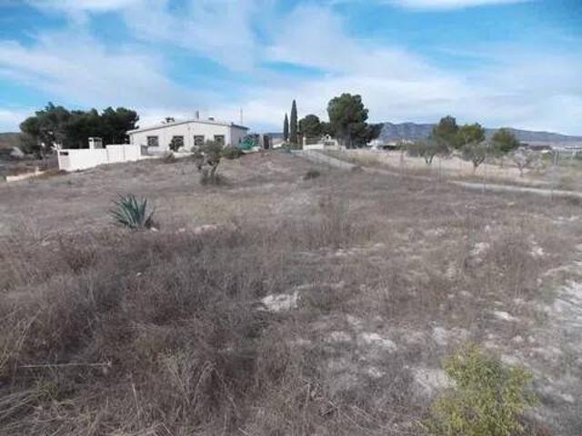 Terreno en venta en el Manyar, el Vinalopó Mitjà / El Vinalopó Medio