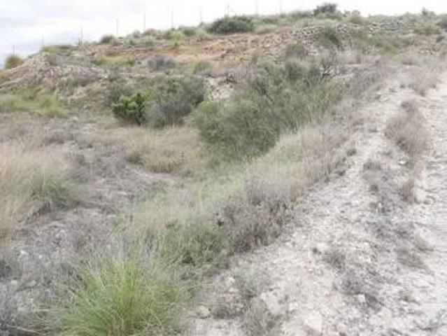 Terreno en venta en el Manyar, el Vinalopó Mitjà / El Vinalopó Medio