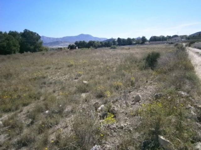 Terreno en venta en Monòver / Monóvar, Alacant / Alicante