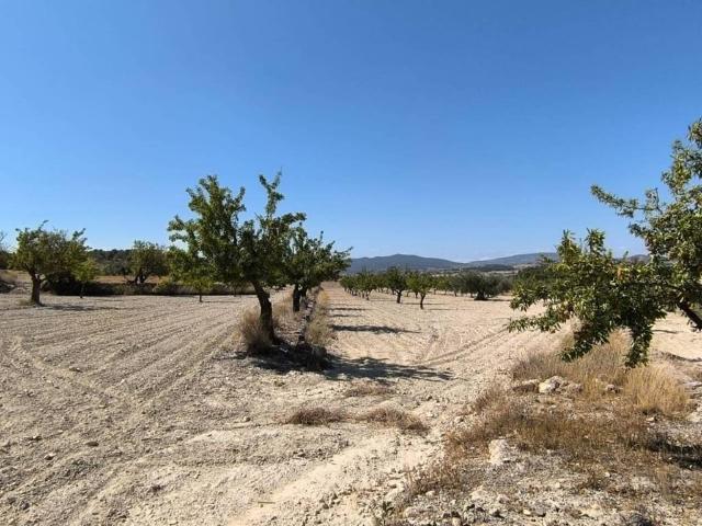 Terreno en venta en el Vinalopó Mitjà / El Vinalopó Medio, Valencia