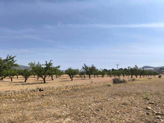 Terreno en venta en el Vinalopó Mitjà / El Vinalopó Medio, Valencia