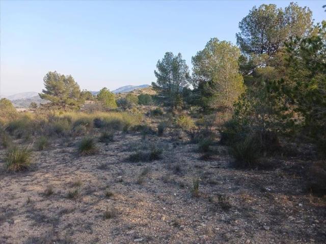 Terreno en venta en el Vinalopó Mitjà / El Vinalopó Medio, Valencia