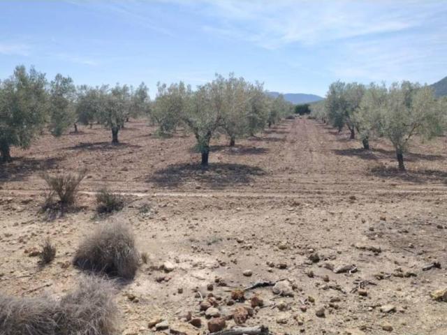 Terreno en venta en el Vinalopó Mitjà / El Vinalopó Medio, Valencia