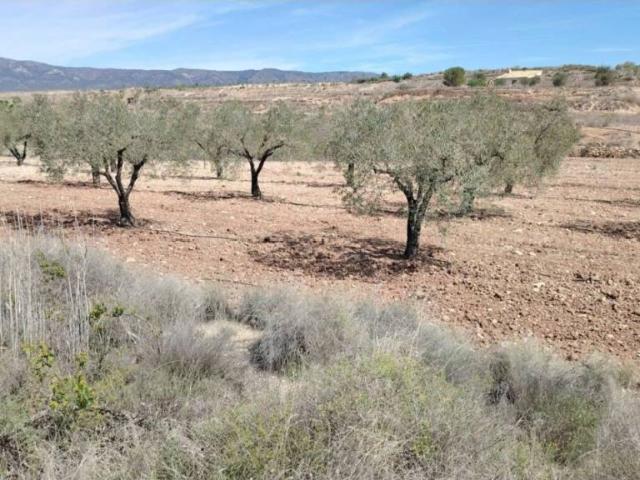 Terreno en venta en el Vinalopó Mitjà / El Vinalopó Medio, Valencia