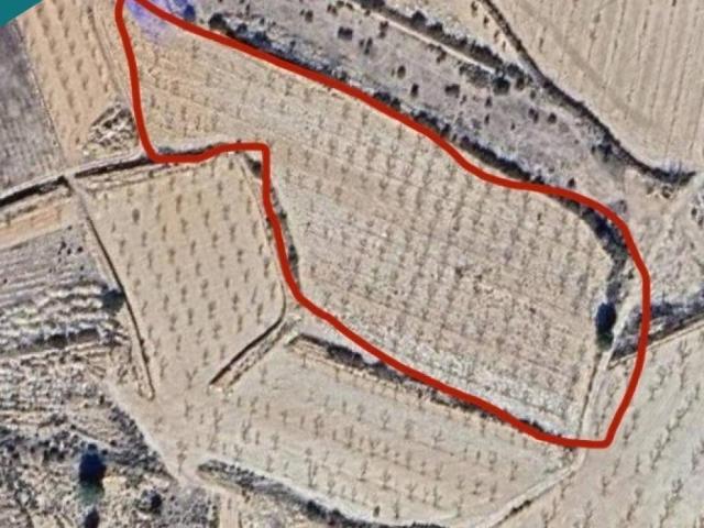 Terreno en venta en el Vinalopó Mitjà / El Vinalopó Medio, Valencia