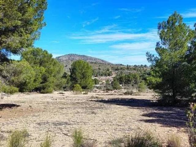 Terreno en venta en el Vinalopó Mitjà / El Vinalopó Medio, Valencia