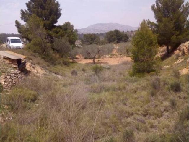 Terreno en venta en el Vinalopó Mitjà / El Vinalopó Medio, Valencia
